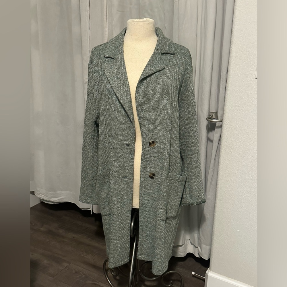 French mauve blazer from Anthropologie size XL green